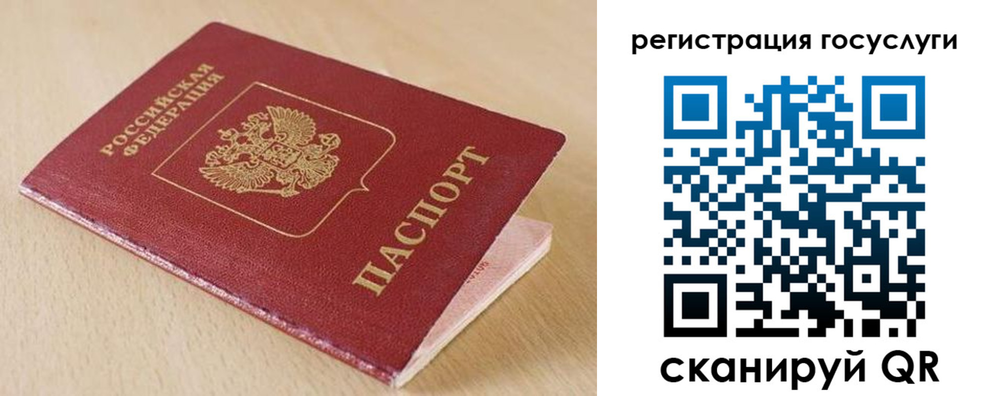 временная регистрация гарантия в Читинской области